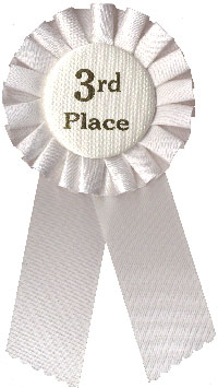 3RD PLACE
